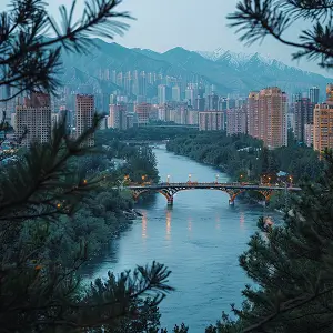 什么平台可以法律咨询