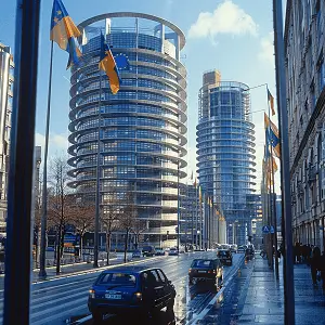 尢字的笔顺怎么写，正确写法详解